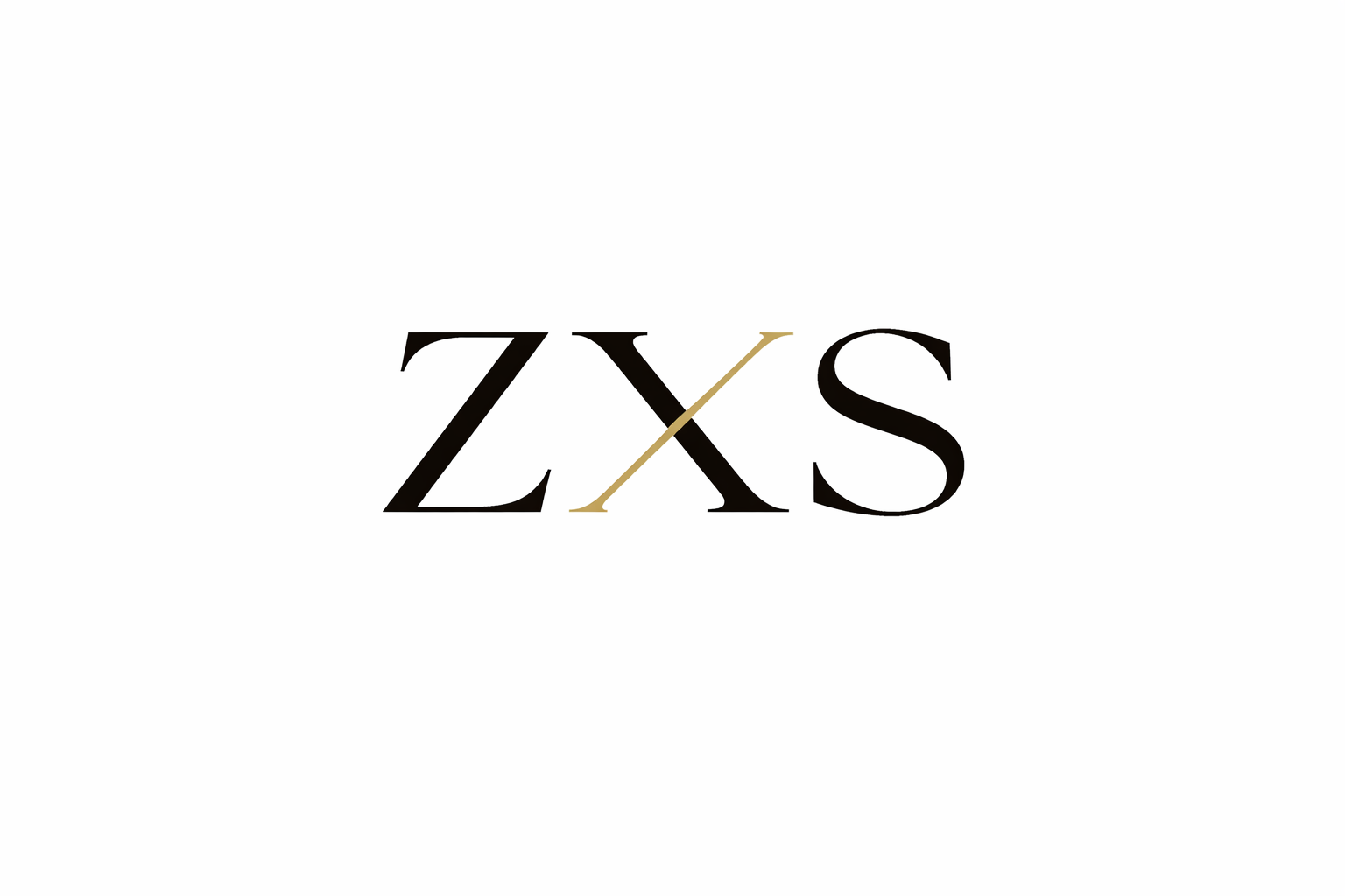 ZXS ENTERPRISES | Business Advisory & Pitch Deck Services